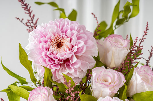 Eternal Dahlias Reimagined: Introducing Blushveil and Moonshade