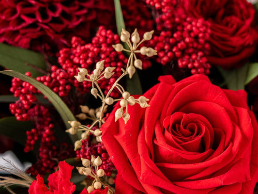 Valentine’s Selection 2026: Timeless Roses, Redefined by STILLA