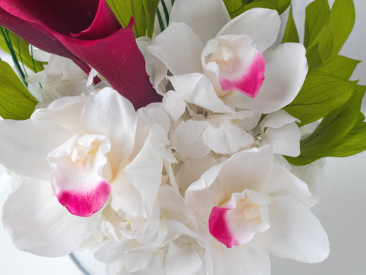 Escape Aboard: STILLA’s New Tropical Getaway Collection