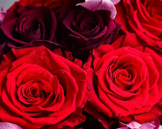 The Benefits of Preserved Flowers on Sustainability | STILLA - STILLA