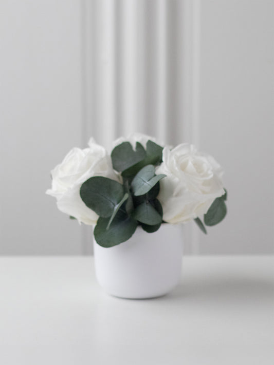 Gui – Composition florale préservée