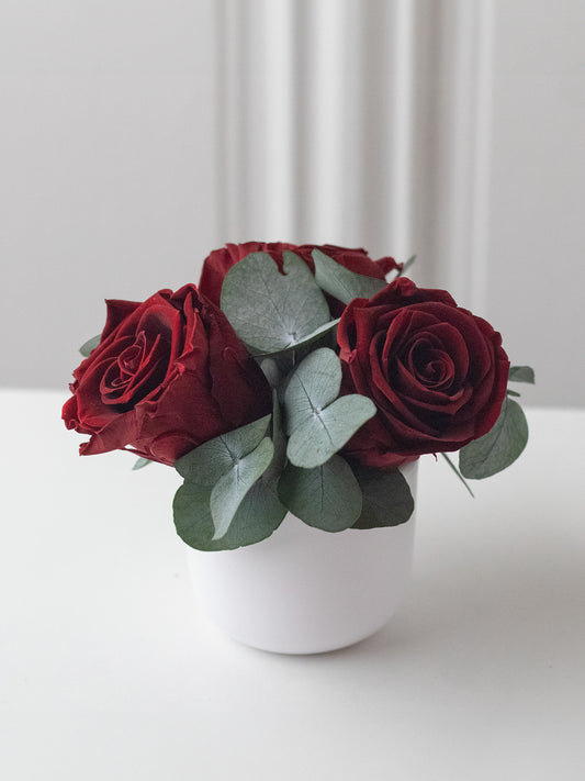 Gui – Composition florale préservée