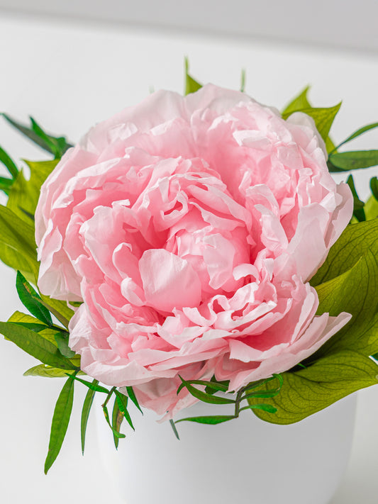 Bloom - Eternal Peony Arrangement - STILLA