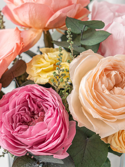 Gold Coast - Preserved Flower Arrangement - STILLA