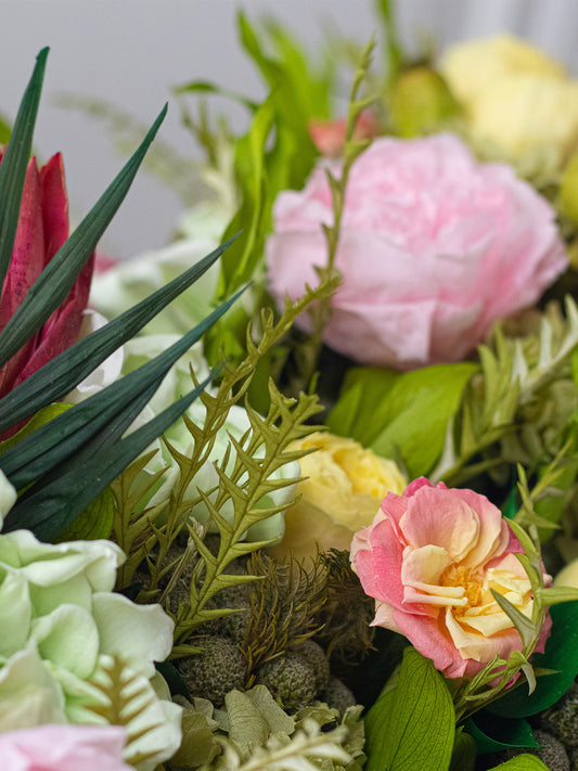 Guará - Preserved Flower Arrangement - STILLA