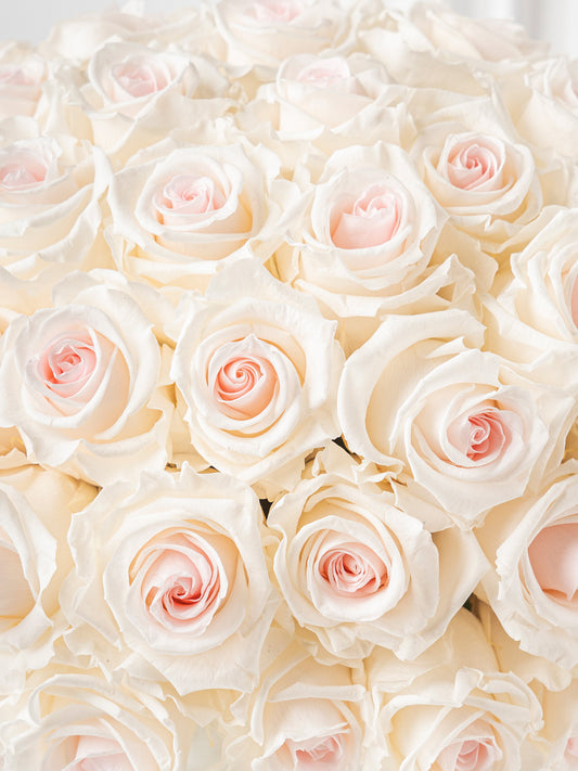 Romance - Preserved Rose Dome - STILLA