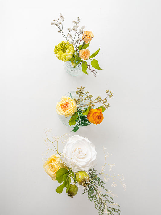 Seashell - Preserved Flower Arrangement Set - STILLA