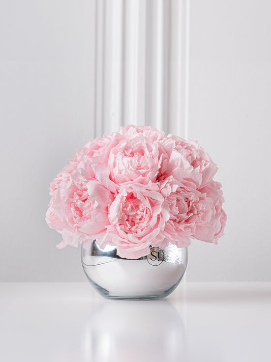 Sydney - Preserved Peony Arrangement - STILLA