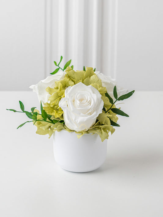 Symphony - Preserved Rose Arrangement - STILLA