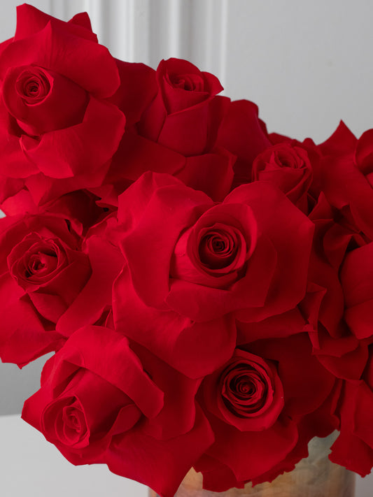 Baisers Rouges - Composition florale stabilisée