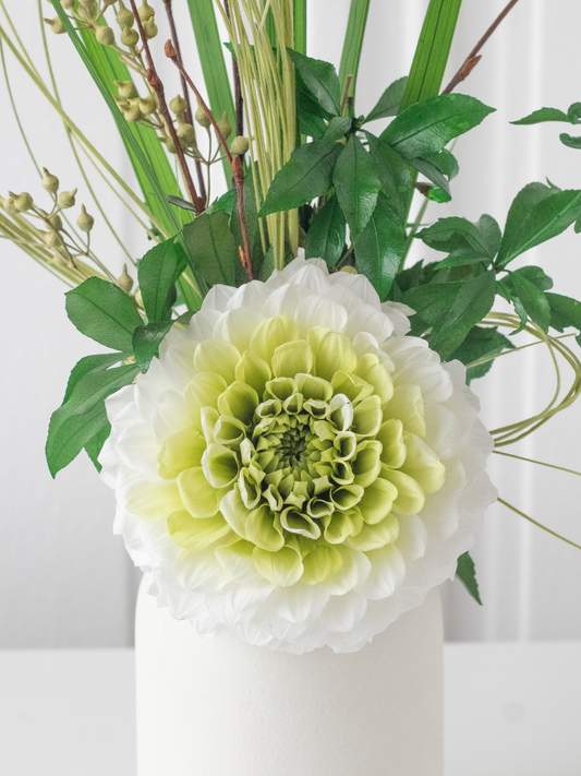 Daria – Composition Florale Stabilisée