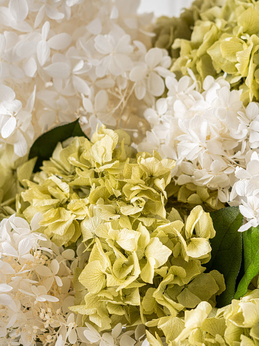 Helios - Preserved Flower Arrangement