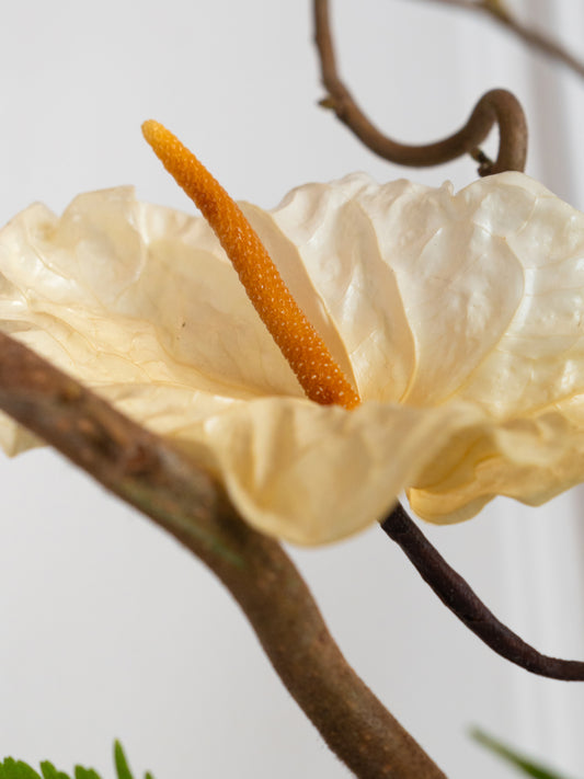 Jardin Sauvage - Preserved Flower Arrangement