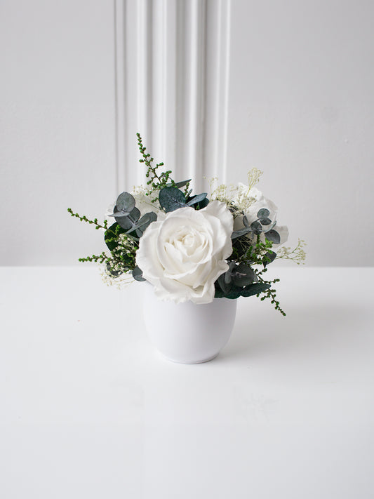 Petite - Preserved Flower Arrangement