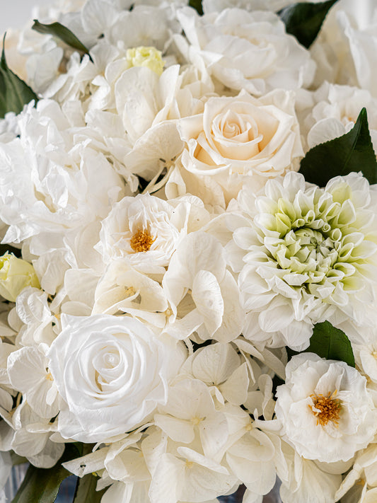 Lucent - Preserved Flower Arrangement