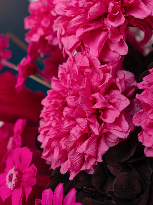 Nuit Fuchsia - Preserved Flower Arrangement