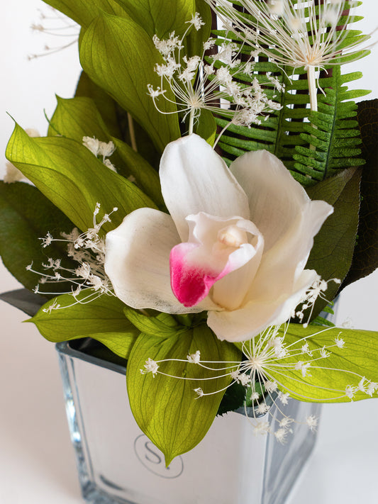 Petite Orchid Zen - Preserved Flower Arrangement
