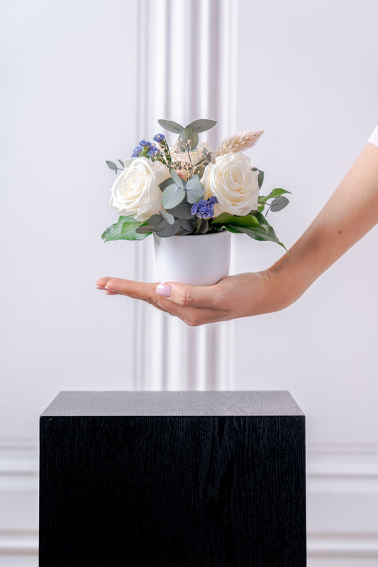PETITE Luxury Preserved Flower Arrangement by STILLA