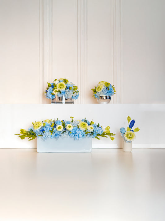 STILLA Set - Modern Style