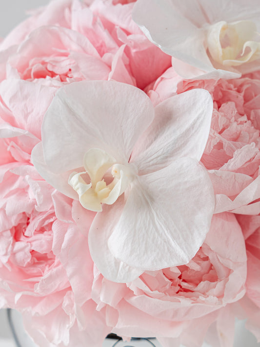 Sydney Extra – Composition Florale Stabilisée