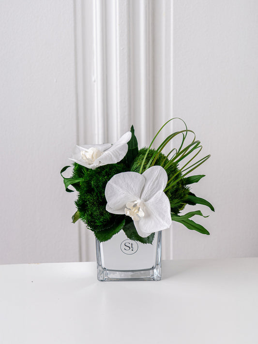 Veil – Composition florale stabilisée