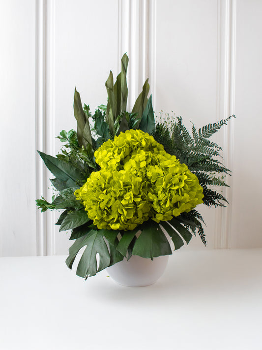 VERDANT Preserved Foliage Arrangement