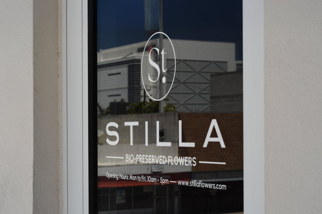 STILLA Flowers Opens New Luxury Florist Studio in Fort Lauderdale: A Celebration of Refined Floral Artistry