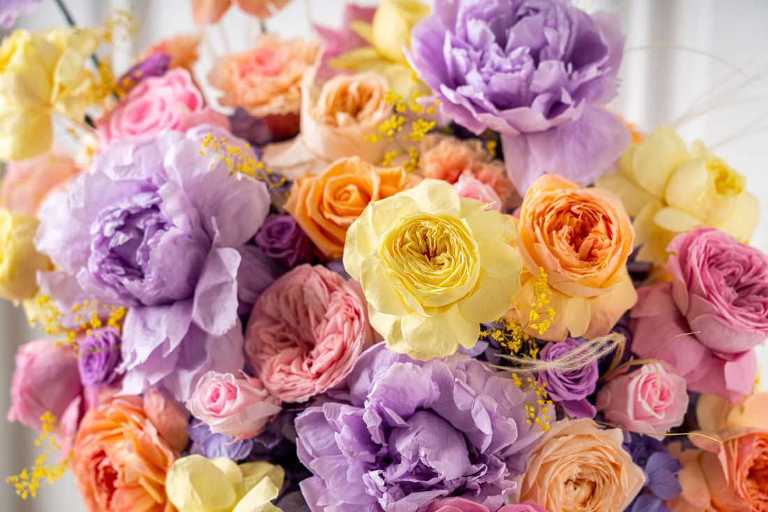 STILLA Prepares for a Stunning Boat Show Season: Cannes, Monaco, and Fort Lauderdale