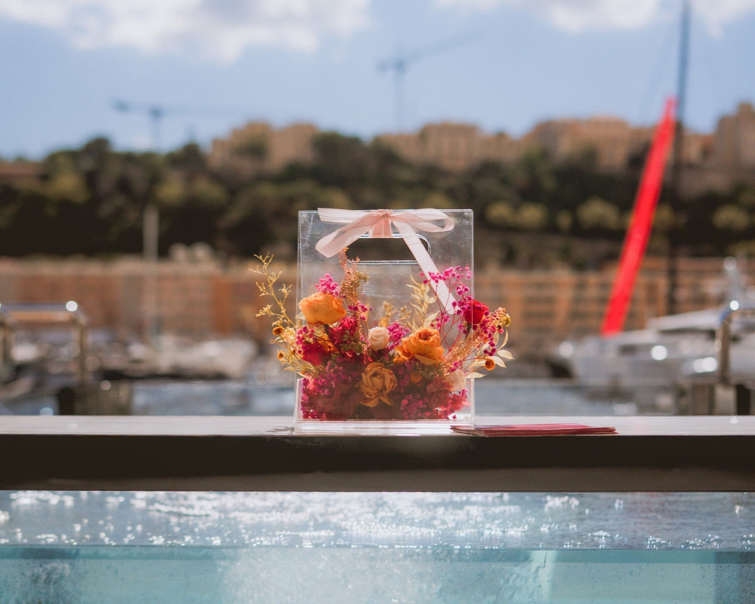 STILLA at FLIBS 2025: A New Chapter in Fort Lauderdale