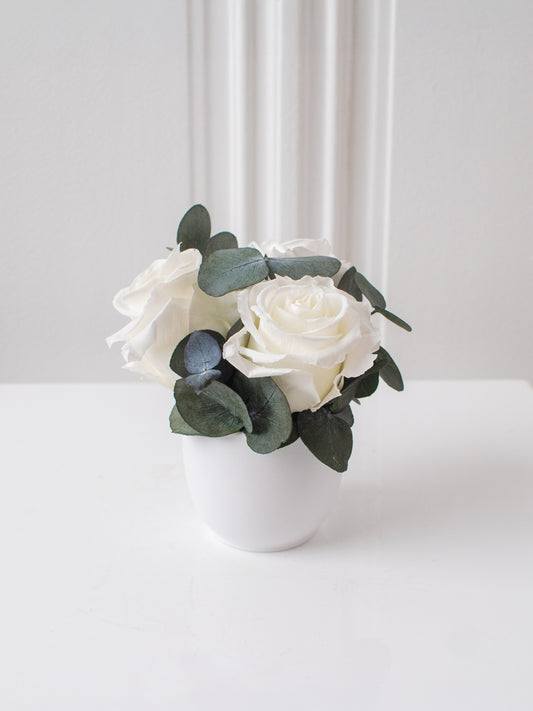 Mistletoe - Preserved Flower Arrangement