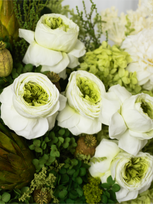 Apollo - Preserved Flower Arrangement