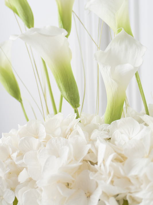 Lily Belle - Preserved Flower Arrangement