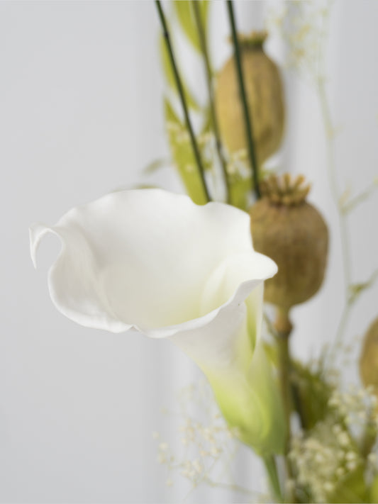 Little Secret - Preserved Flower Arrangement