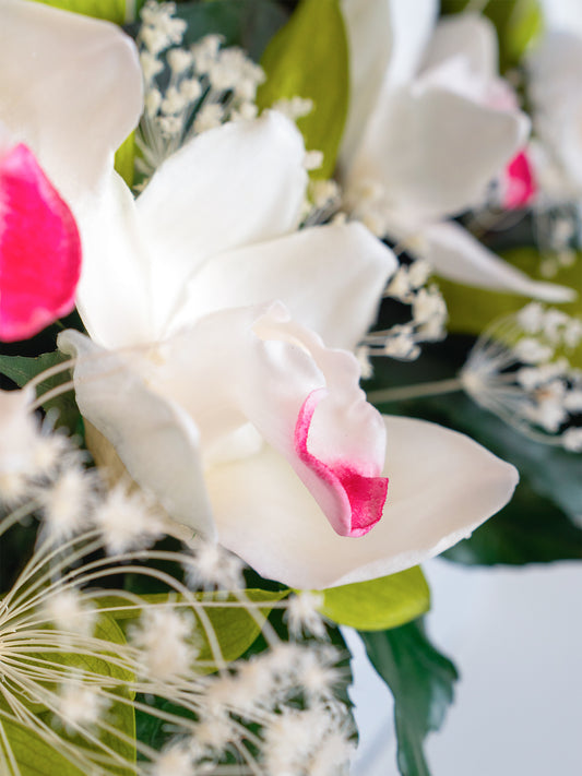 Orchid Zen - Preserved Flower Arrangement