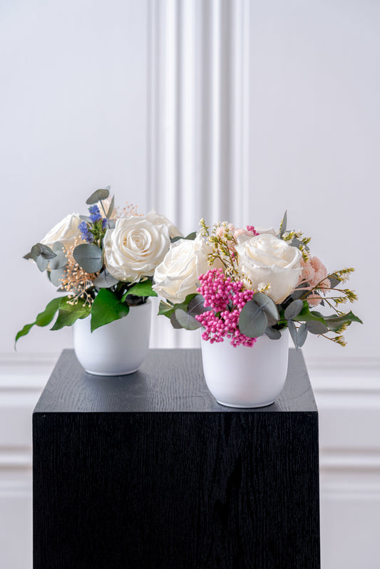PETITE Luxury Preserved Flower Arrangement by STILLA
