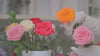 A professionally shot video of STILLA's process of making luxury bio-preserved flower arrangements.