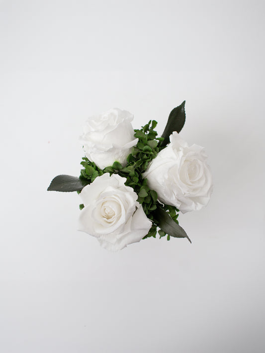 Symphony - Preserved Rose Arrangement
