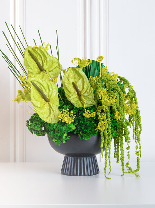 Verdant Sculpté - Preserved Flower Arrangement