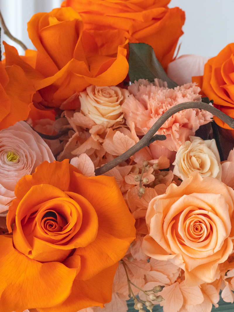 M/Y Cocktails