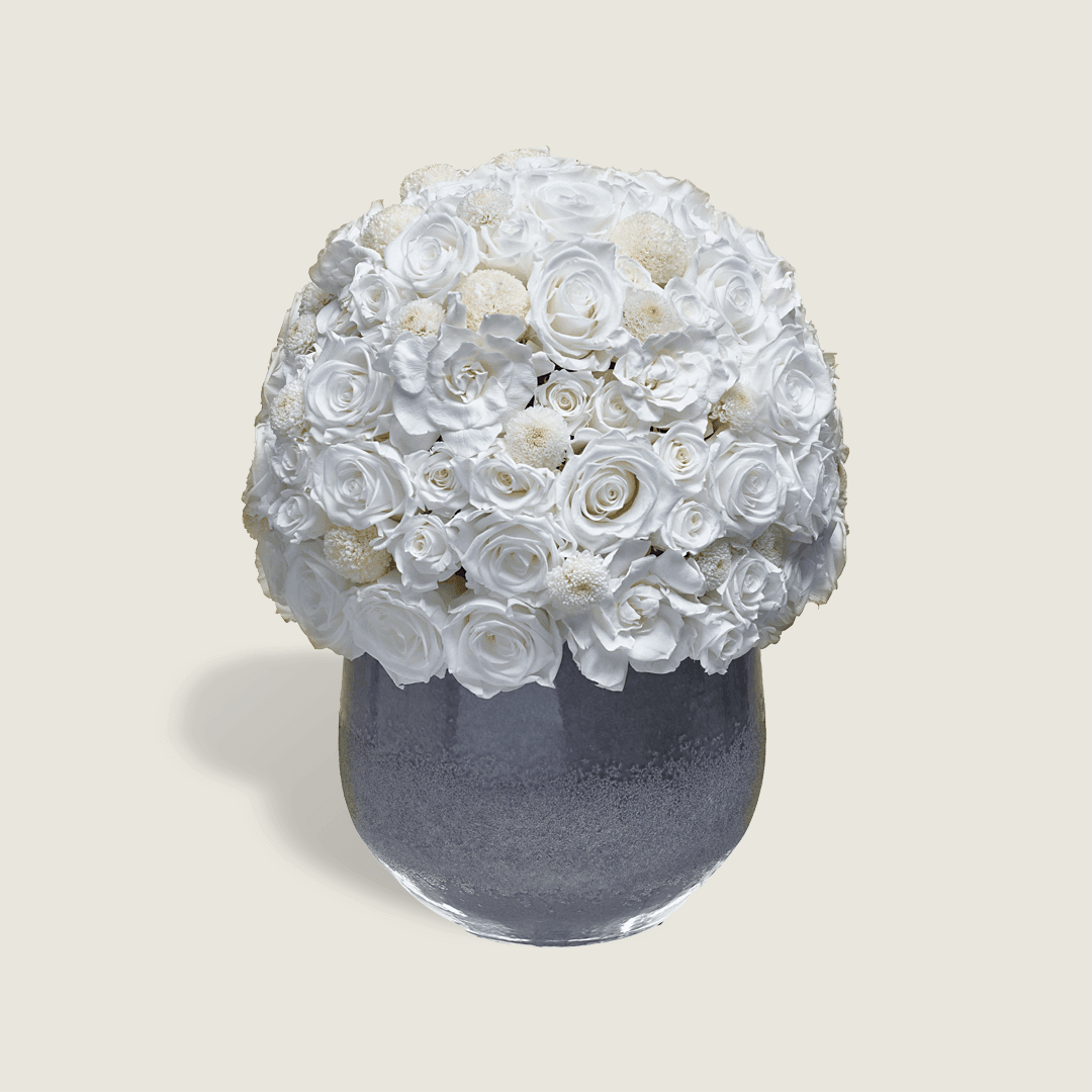BLANCHE - STILLA