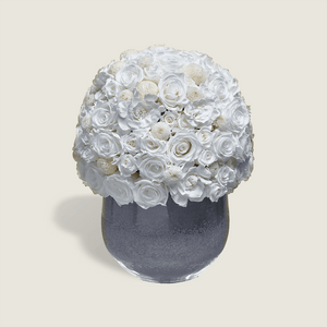 BLANCHE - STILLA